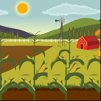 Thanksgiving Corn