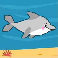 Dolphin Race!